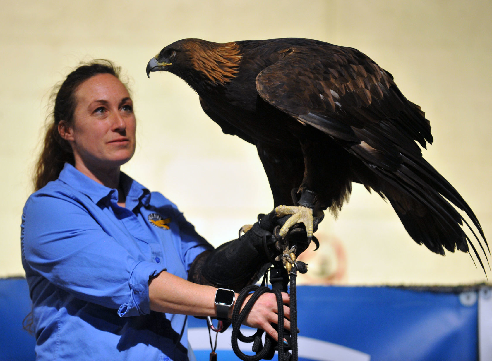 Bald Eagle Days at the QCCA Expo Center